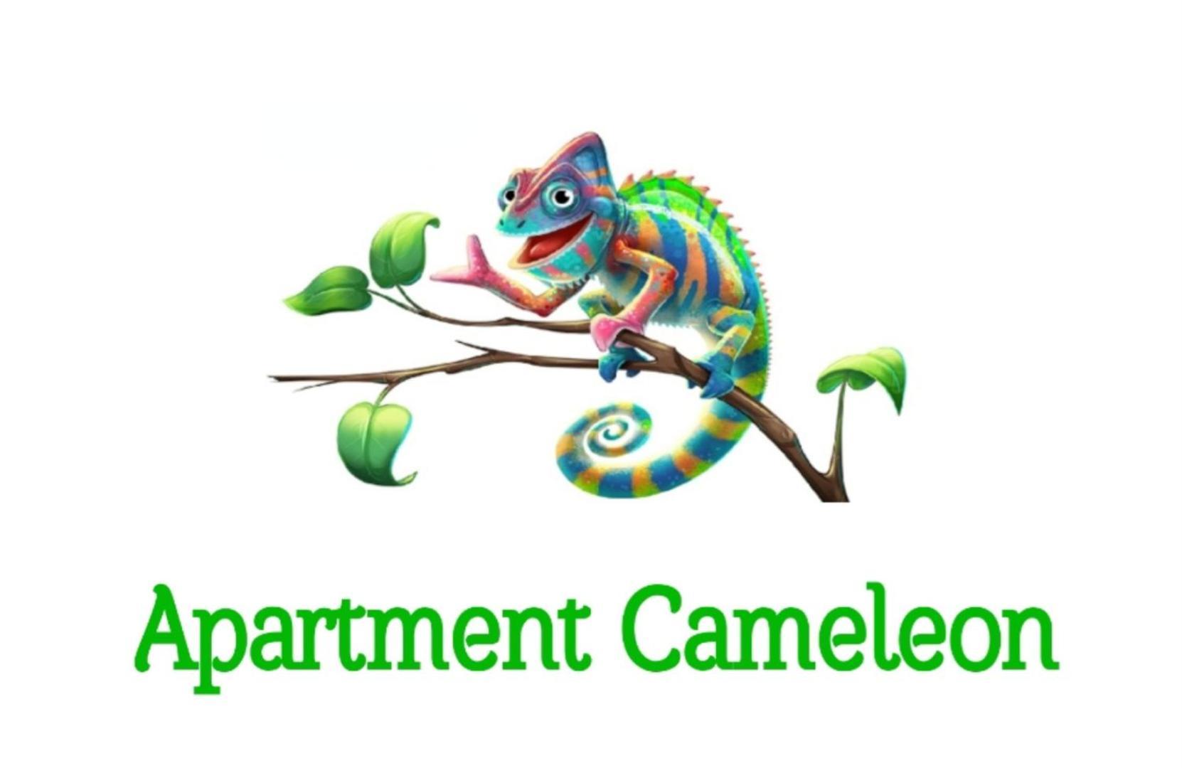 Apartment Cameleon Dubrovnik Kültér fotó